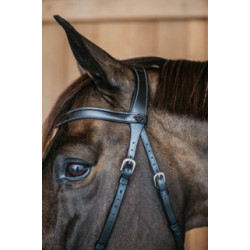 Bitless bridle - Working by...