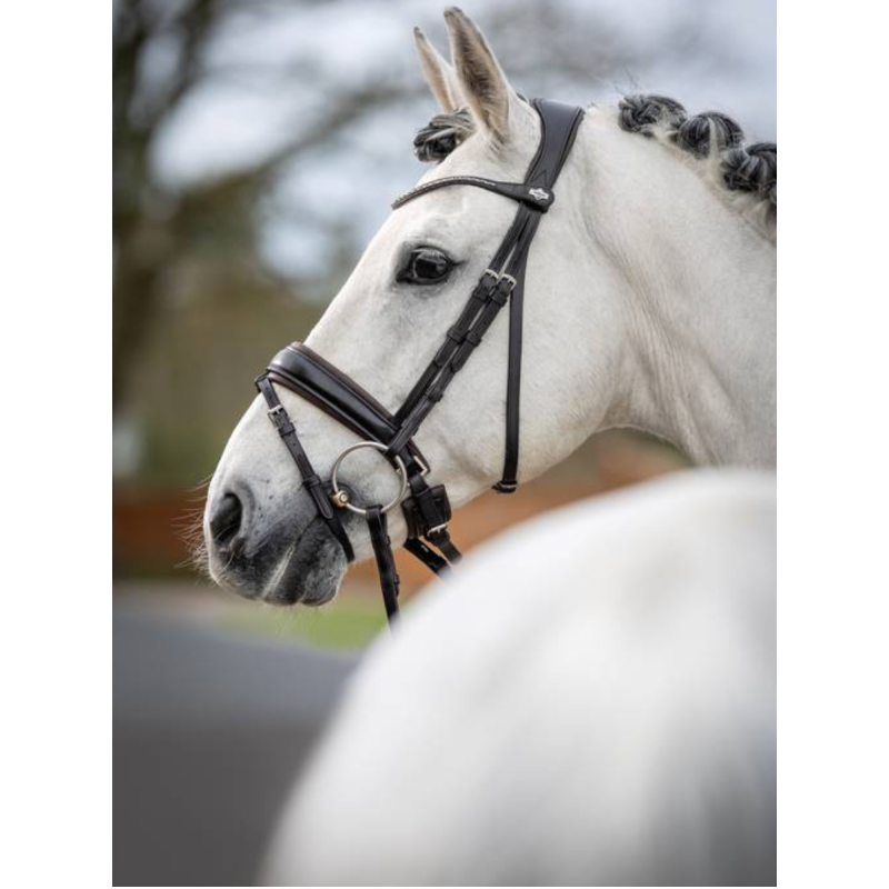 Kudos Dressage Classic Bridle - Le Mieux