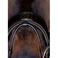 Noseband Ps of Sweden