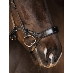 Pioneer Noseband