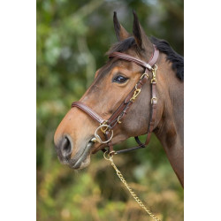 COMBO BRIDLE/HALTER
